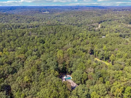 a view of a forest with a road