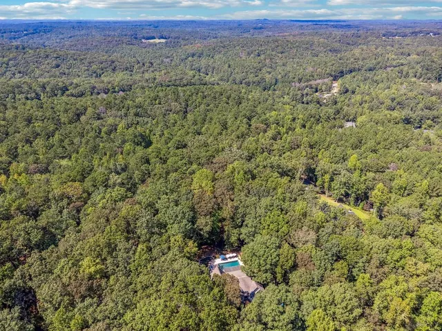 a view of a forest with a road