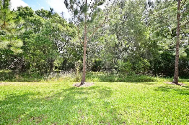 a view of a yard with a tree