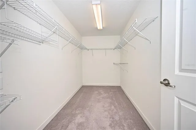 a view of small space with empty racks