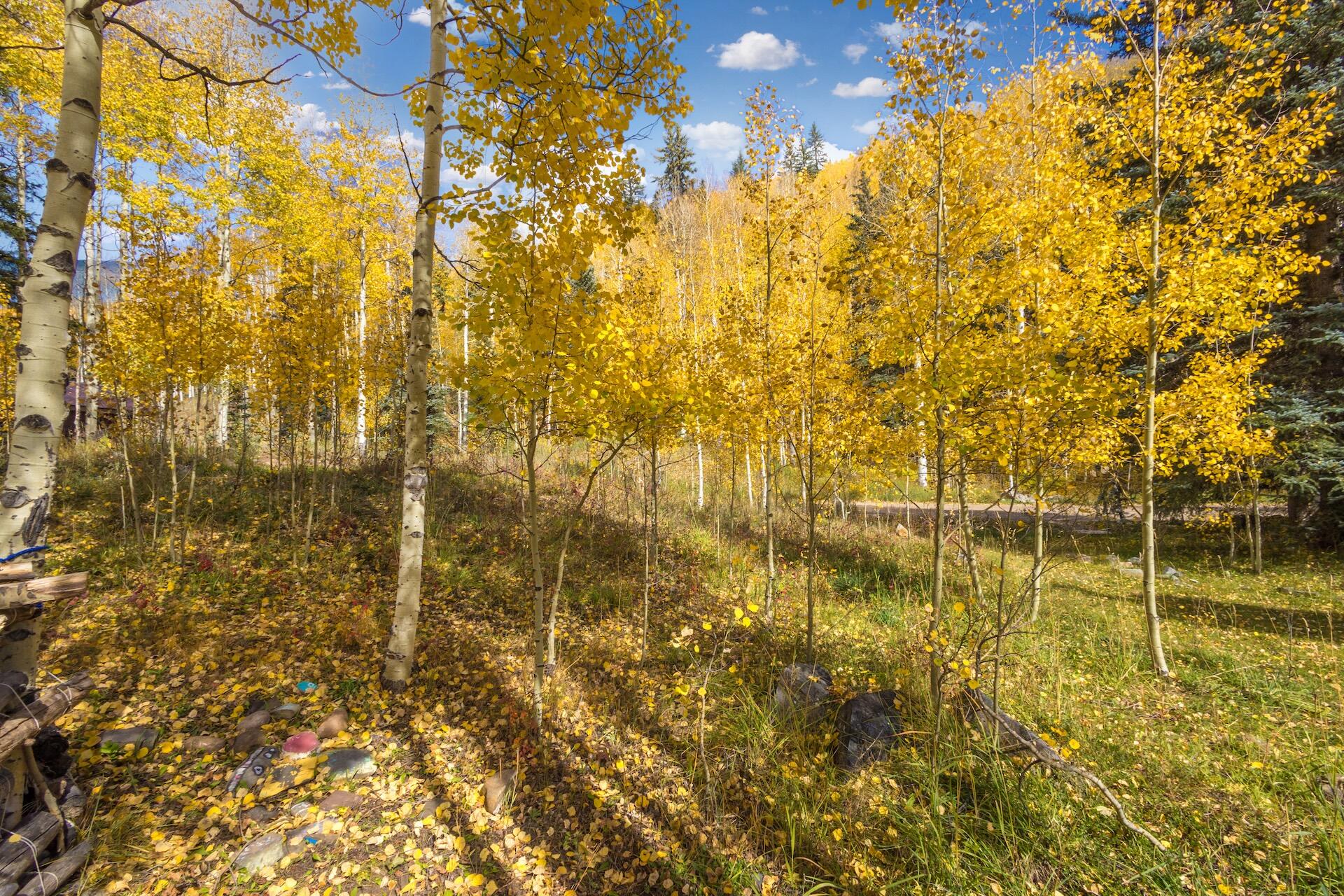 Tbd Silverglance Way Rico, CO 81332 - Photo 11 of 18 a view of yard with swimming pool and background