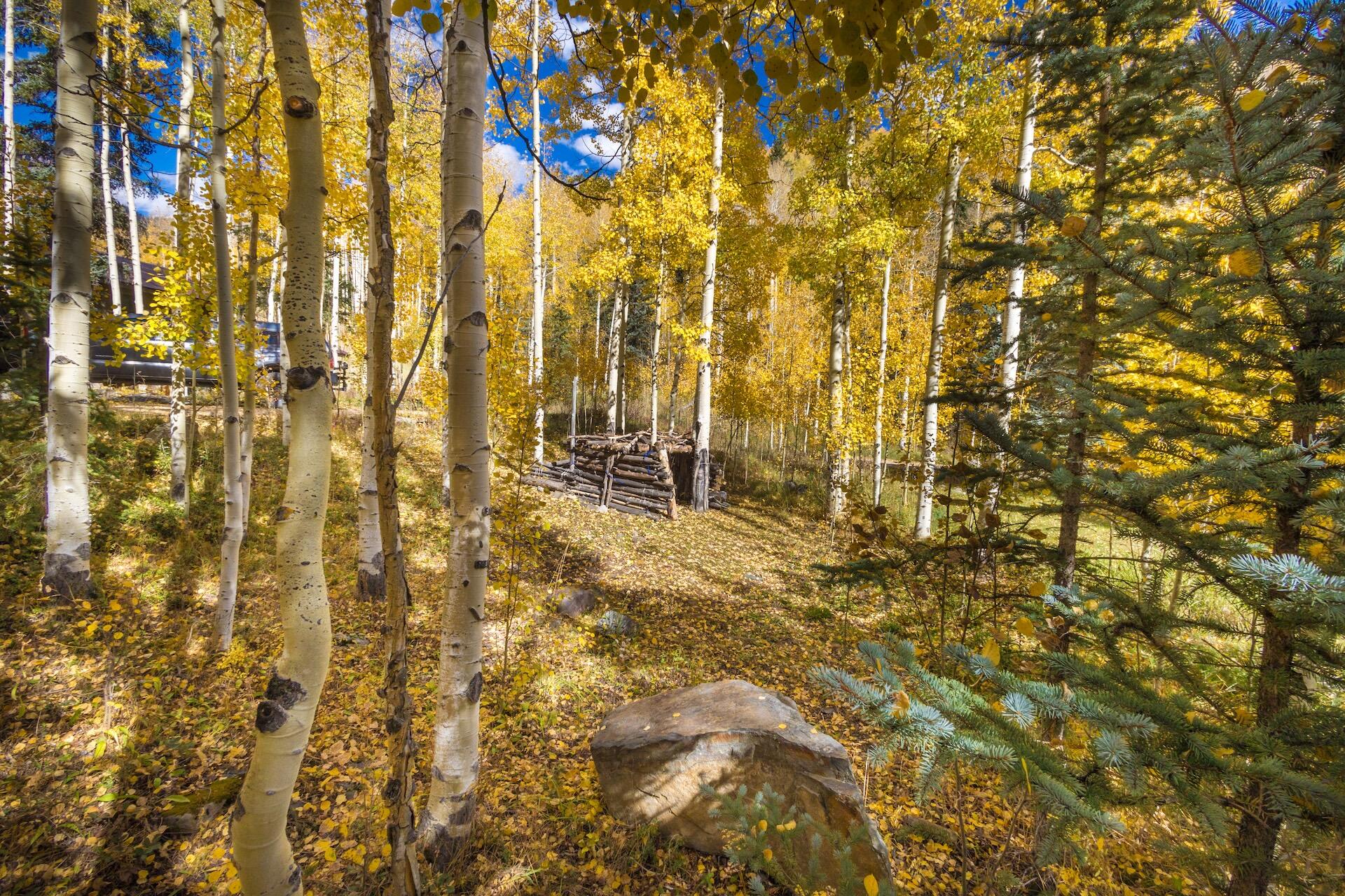 Tbd Silverglance Way Rico, CO 81332 - Photo 16 of 18 a bathroom with a shower