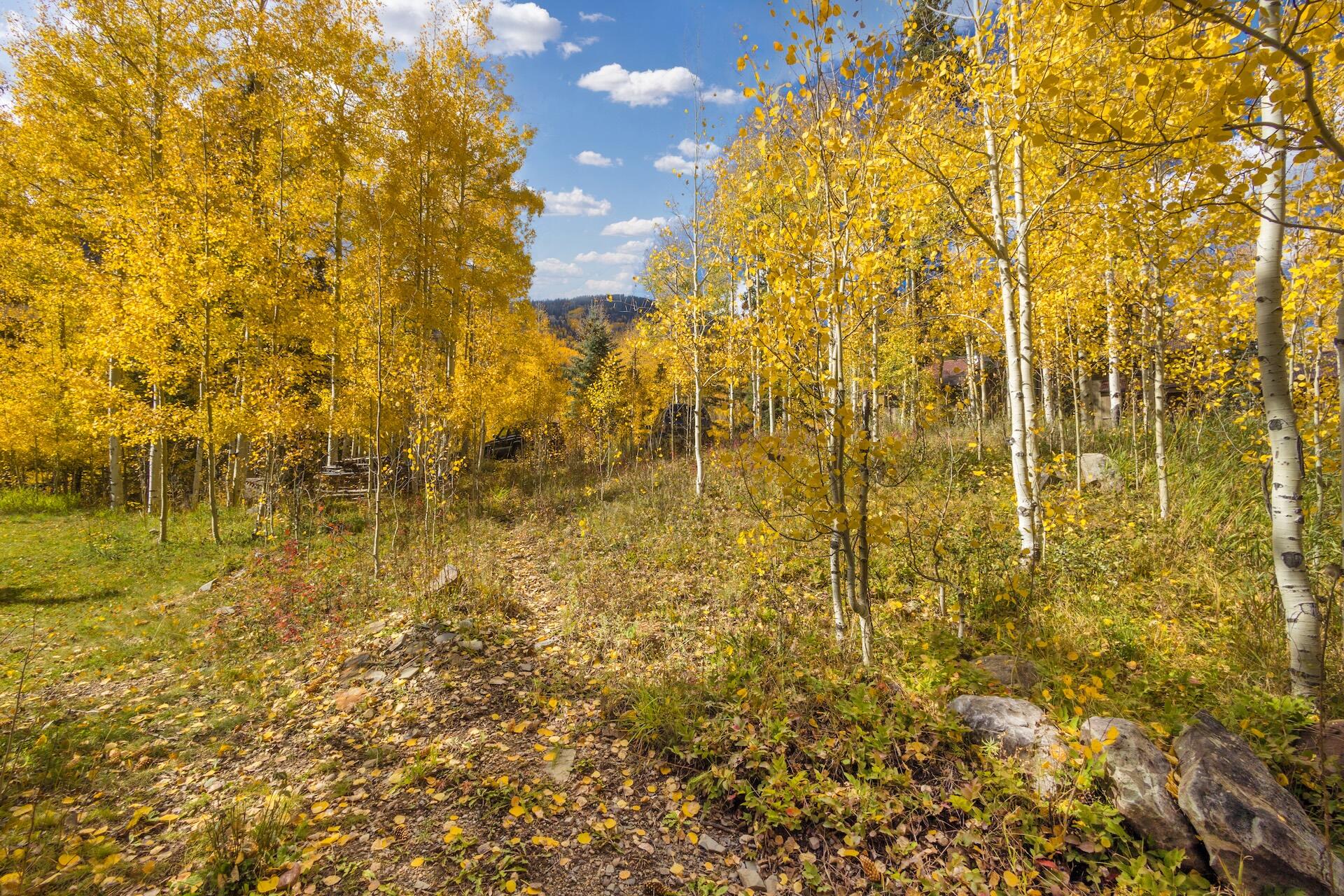 Tbd Silverglance Way Rico, CO 81332 - Photo 3 of 18 a bathroom with a shower