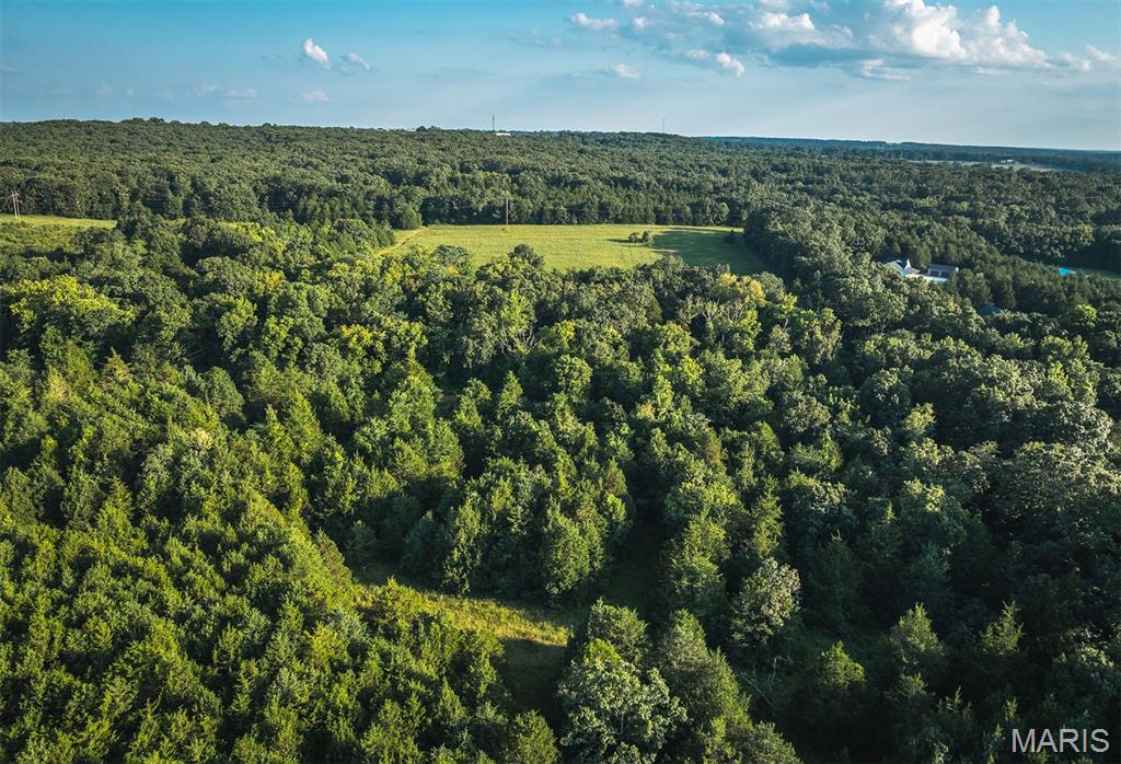 0 Mo-v Street St. James, MO 65559 - Photo 13 of 66