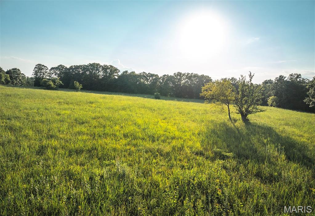 0 Mo-v Street St. James, MO 65559 - Photo 16 of 66