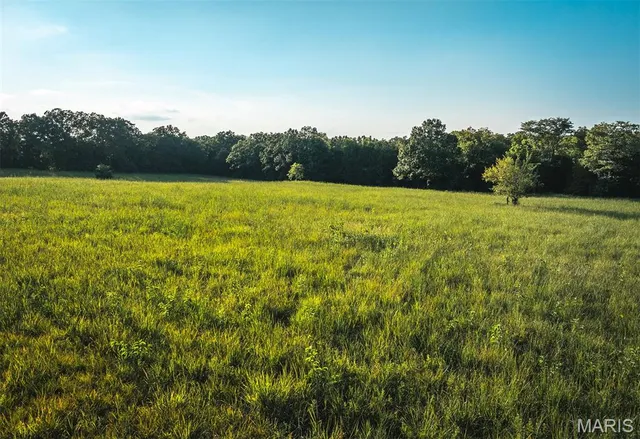 $530,127 | 0 Mo-v Street, St. James, MO 65559