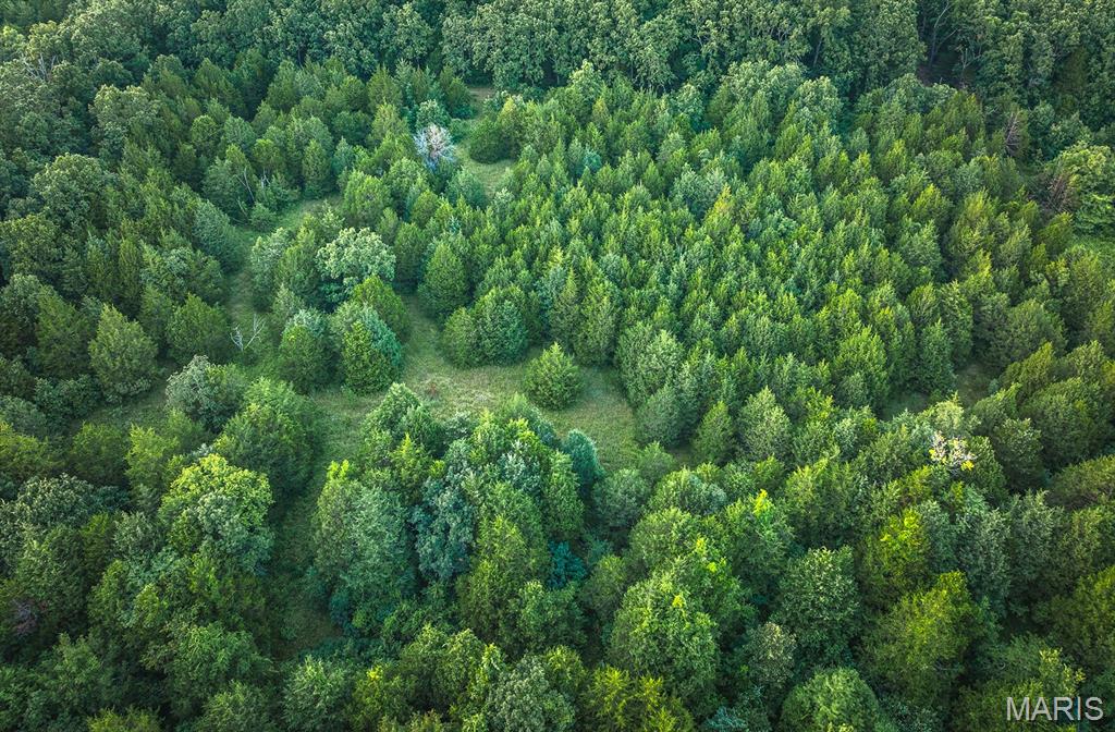 0 Mo-v Street St. James, MO 65559 - Photo 24 of 66