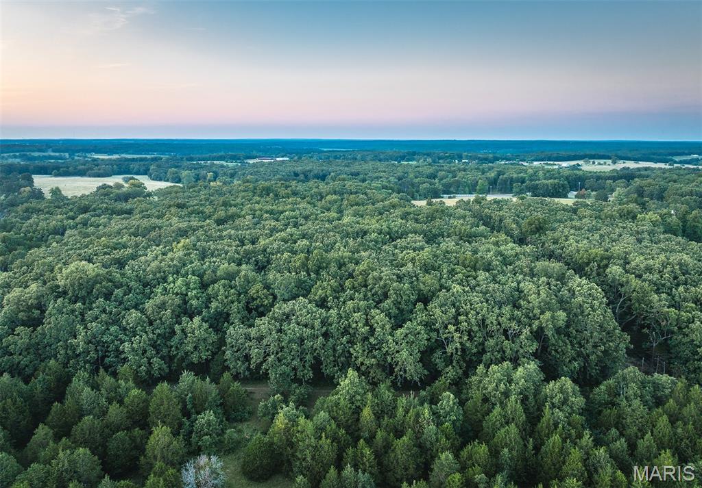 0 Mo-v Street St. James, MO 65559 - Photo 25 of 66