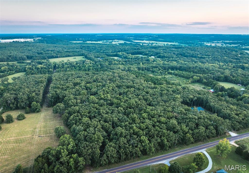 0 Mo-v Street St. James, MO 65559 - Photo 28 of 66