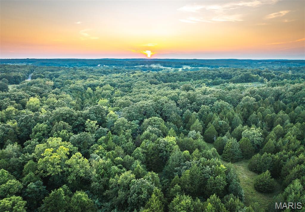 0 Mo-v Street St. James, MO 65559 - Photo 29 of 66