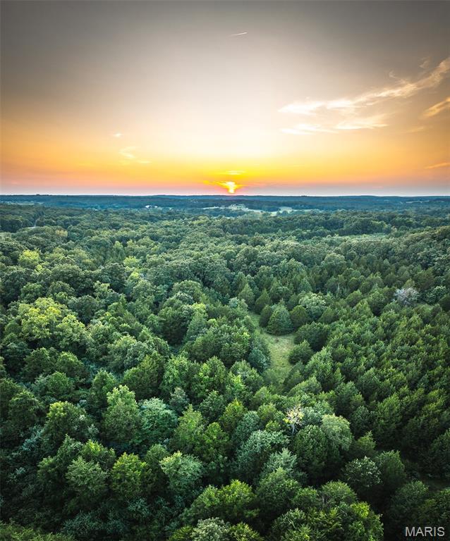 0 Mo-v Street St. James, MO 65559 - Photo 30 of 66