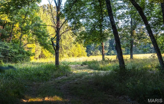 $530,127 | 0 Mo-v Street, St. James, MO 65559