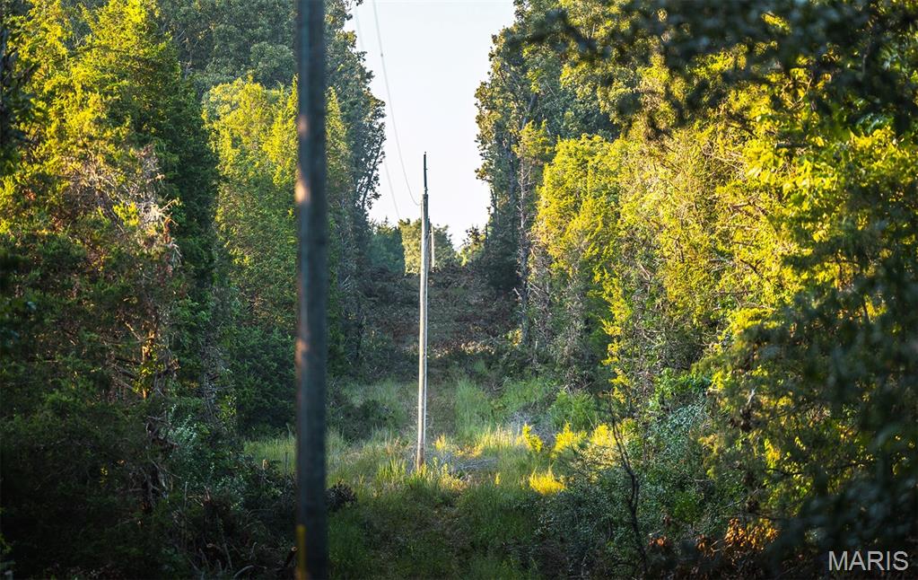 0 Mo-v Street St. James, MO 65559 - Photo 33 of 66