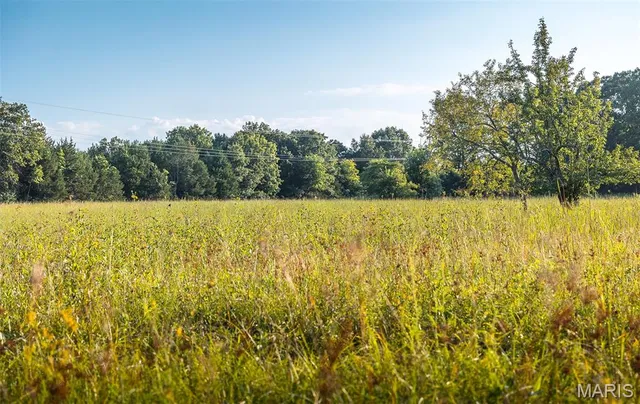 $530,127 | 0 Mo-v Street, St. James, MO 65559