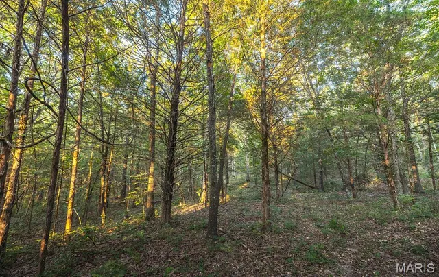 $530,127 | 0 Mo-v Street, St. James, MO 65559