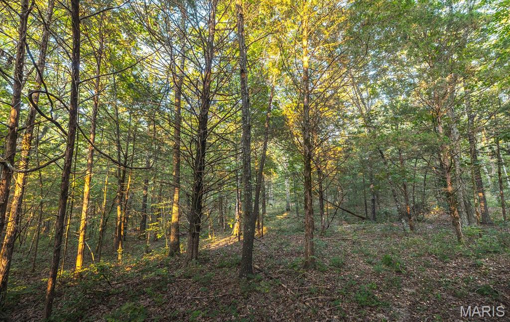 0 Mo-v Street St. James, MO 65559 - Photo 36 of 66