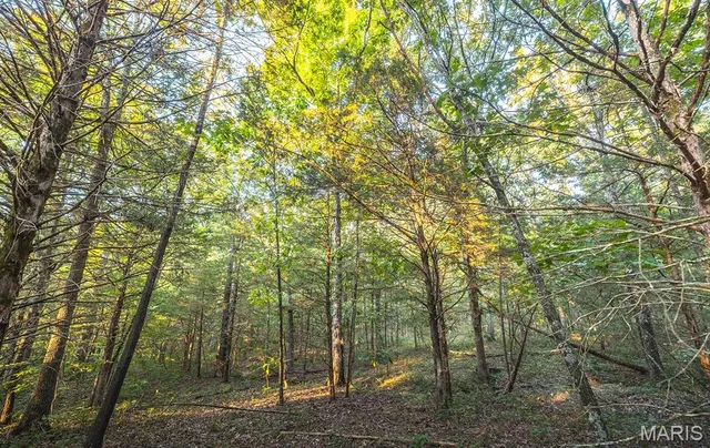 $530,127 | 0 Mo-v Street, St. James, MO 65559