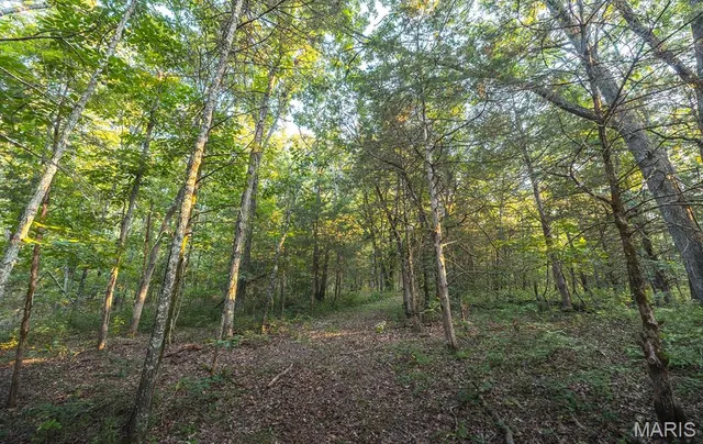 $530,127 | 0 Mo-v Street, St. James, MO 65559