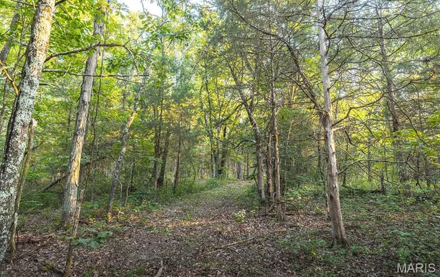 $530,127 | 0 Mo-v Street, St. James, MO 65559