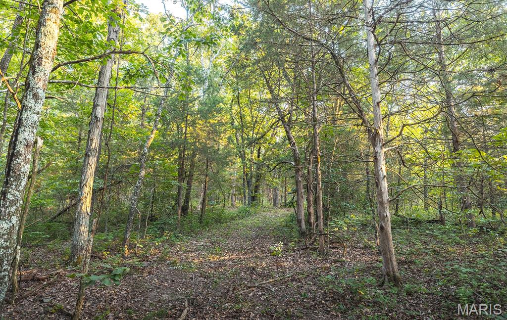 0 Mo-v Street St. James, MO 65559 - Photo 39 of 66