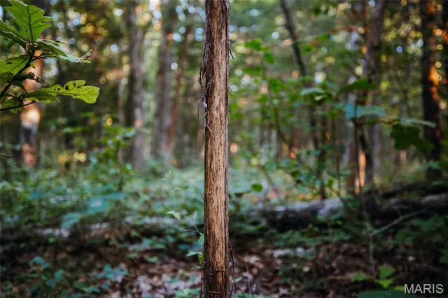 $530,127 | 0 Mo-v Street, St. James, MO 65559