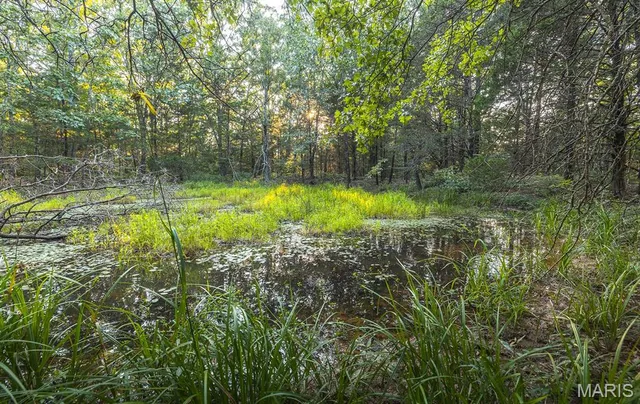 $530,127 | 0 Mo-v Street, St. James, MO 65559