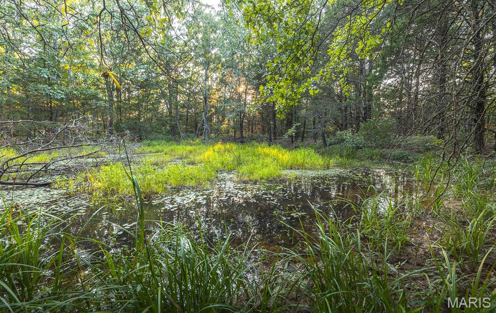 0 Mo-v Street St. James, MO 65559 - Photo 41 of 66