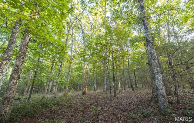 $530,127 | 0 Mo-v Street, St. James, MO 65559