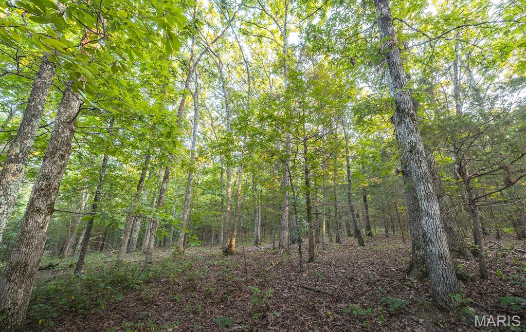 0 Mo-v Street St. James, MO 65559 - Photo 42 of 66