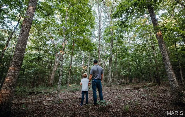 $530,127 | 0 Mo-v Street, St. James, MO 65559