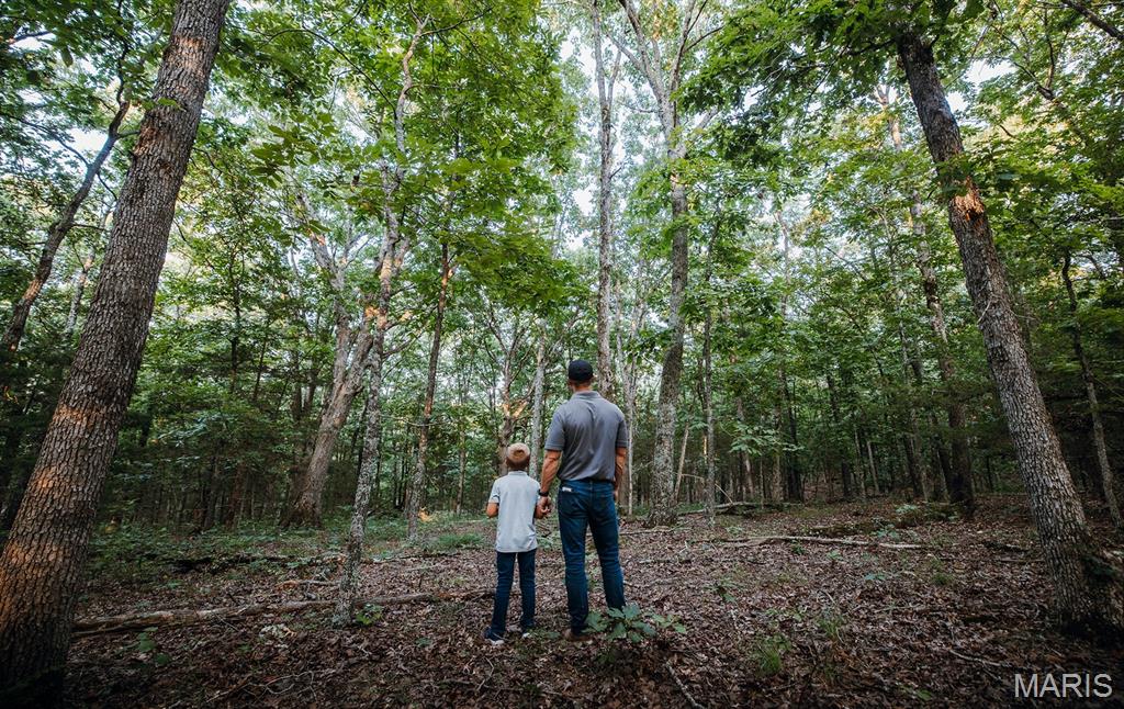 0 Mo-v Street St. James, MO 65559 - Photo 43 of 66