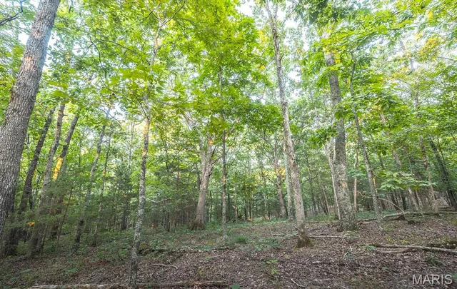 $530,127 | 0 Mo-v Street, St. James, MO 65559