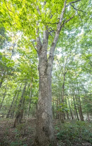 $530,127 | 0 Mo-v Street, St. James, MO 65559