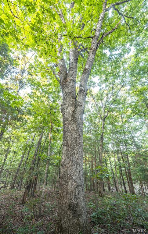 0 Mo-v Street St. James, MO 65559 - Photo 45 of 66