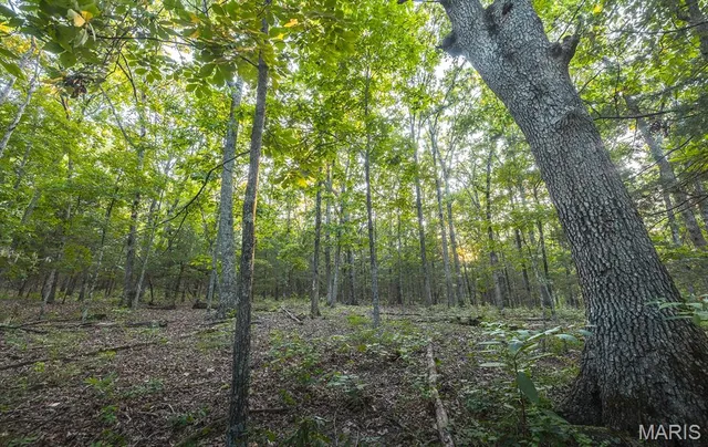 $530,127 | 0 Mo-v Street, St. James, MO 65559