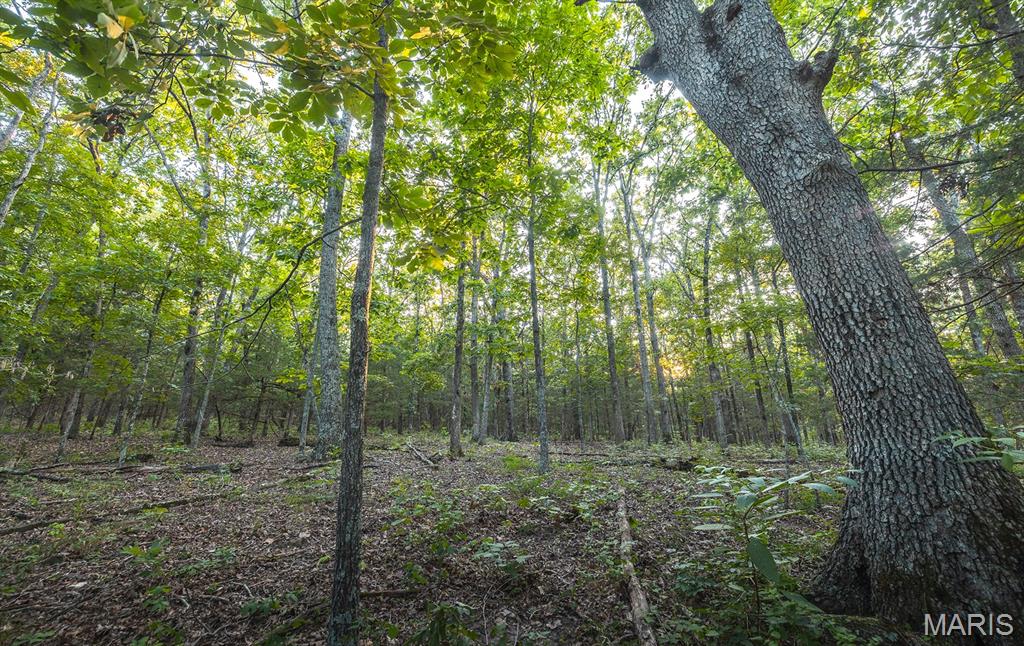 0 Mo-v Street St. James, MO 65559 - Photo 46 of 66