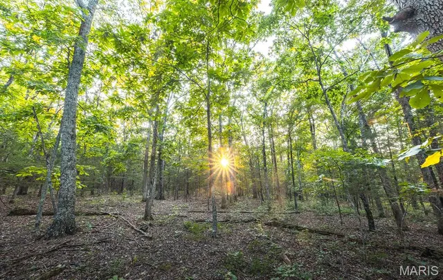 $530,127 | 0 Mo-v Street, St. James, MO 65559