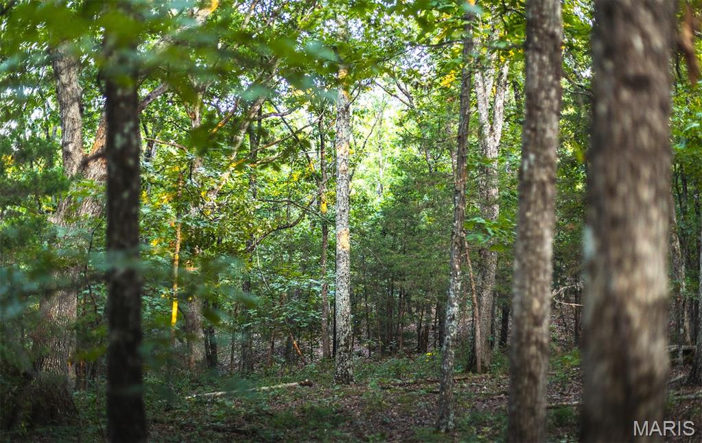 0 Mo-v Street St. James, MO 65559 - Photo 48 of 66