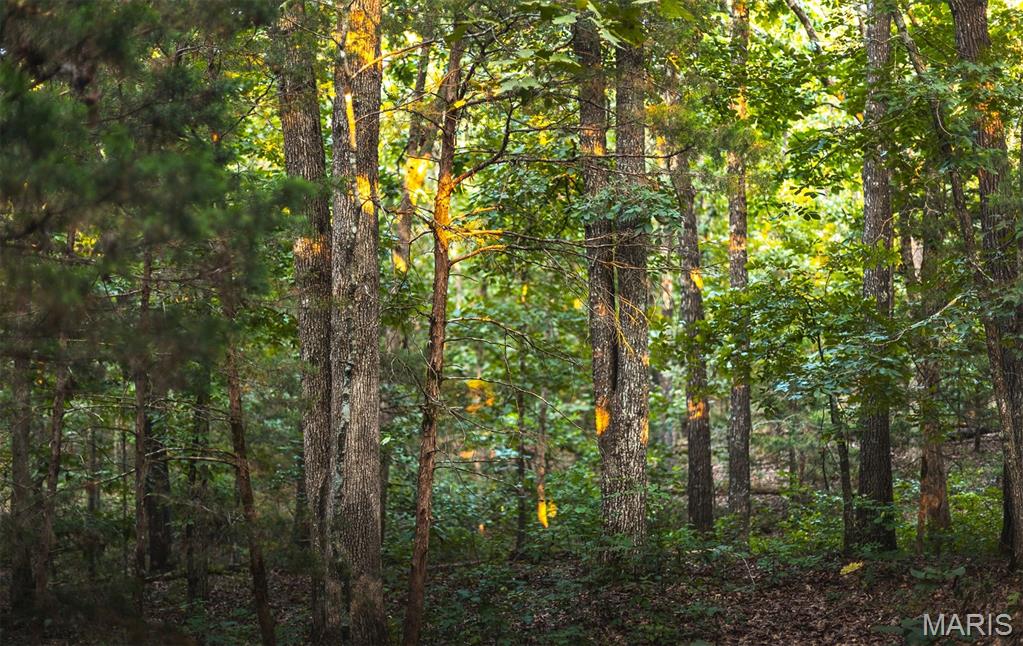 0 Mo-v Street St. James, MO 65559 - Photo 49 of 66