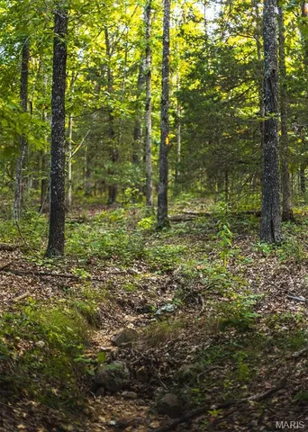 $530,127 | 0 Mo-v Street, St. James, MO 65559