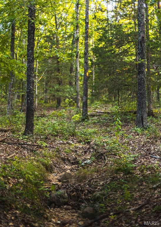 0 Mo-v Street St. James, MO 65559 - Photo 50 of 66