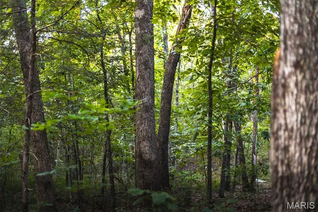 $530,127 | 0 Mo-v Street, St. James, MO 65559