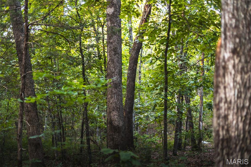 0 Mo-v Street St. James, MO 65559 - Photo 51 of 66