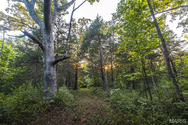 $530,127 | 0 Mo-v Street, St. James, MO 65559