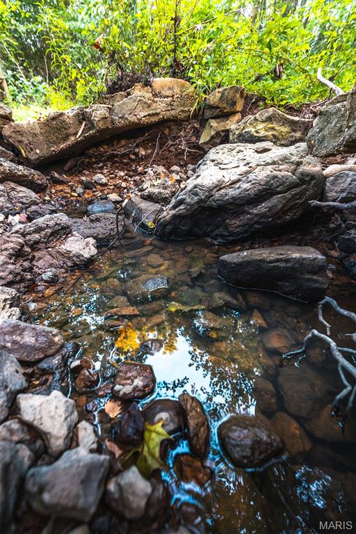 0 Mo-v Street St. James, MO 65559 - Photo 53 of 66