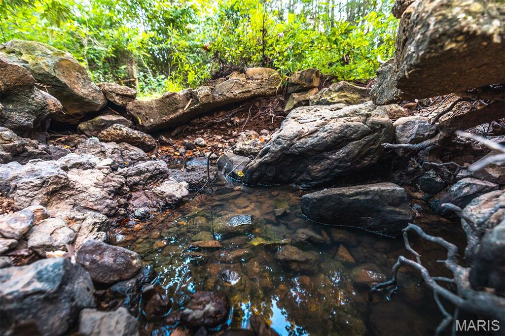 0 Mo-v Street St. James, MO 65559 - Photo 54 of 66