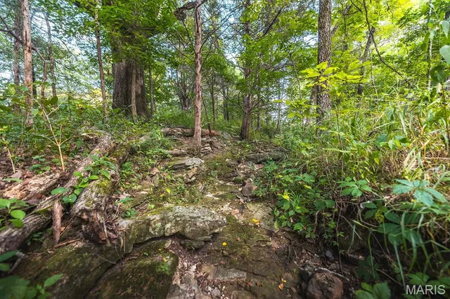 $530,127 | 0 Mo-v Street, St. James, MO 65559