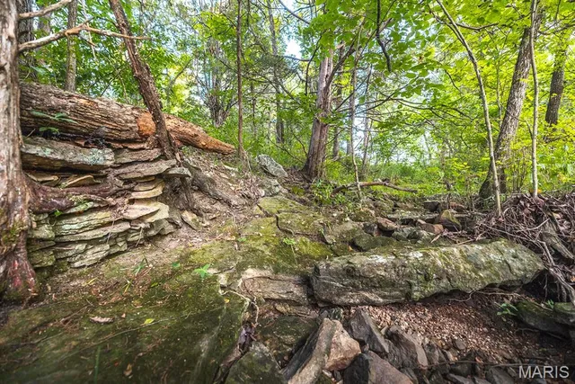 $530,127 | 0 Mo-v Street, St. James, MO 65559