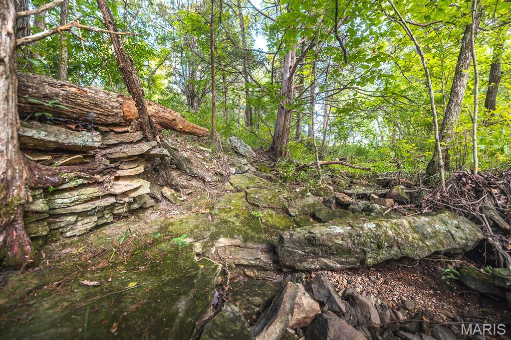 0 Mo-v Street St. James, MO 65559 - Photo 57 of 66