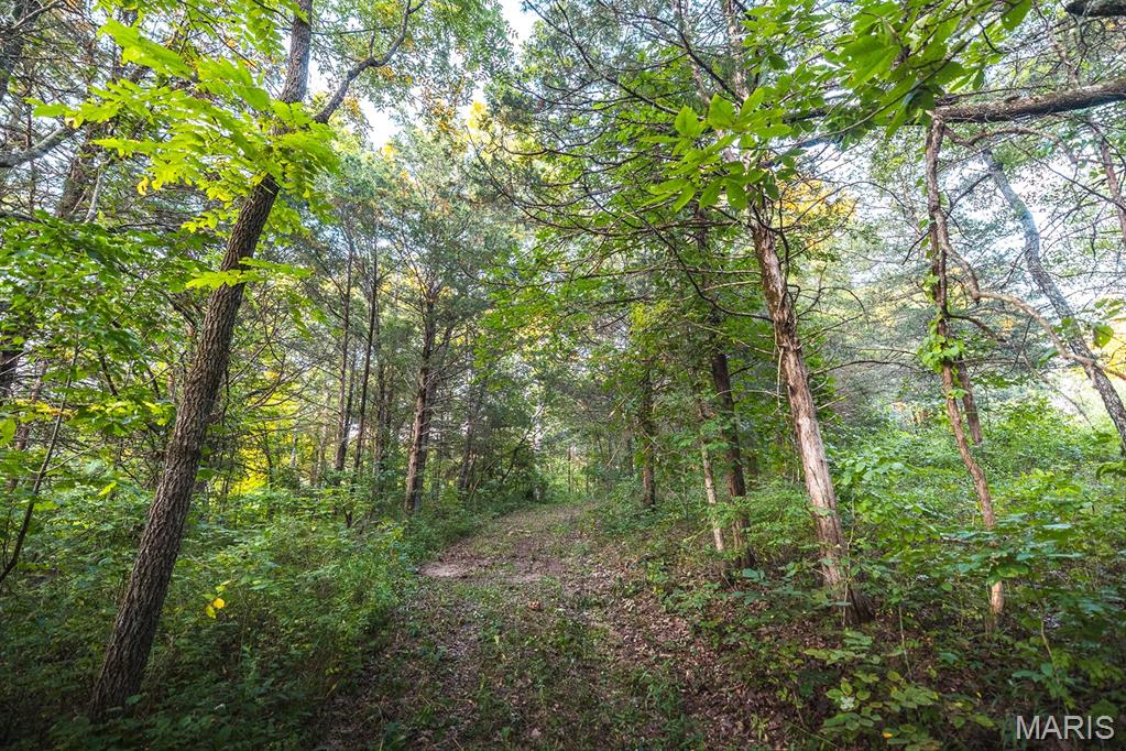 0 Mo-v Street St. James, MO 65559 - Photo 58 of 66